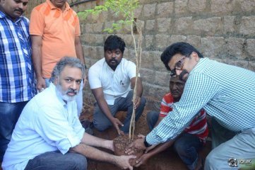  Venkatesh At Haritha Haaram Event